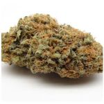 Шишки AK47 (Гидропоника, Бошка) VHQ в Старой Купавне Шишки AK47 (Гидропоника, Бошка) VHQ в Старой Купавне